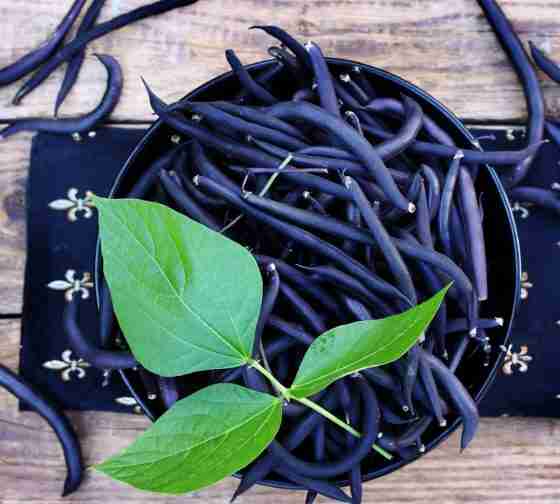 blue asparagus beans