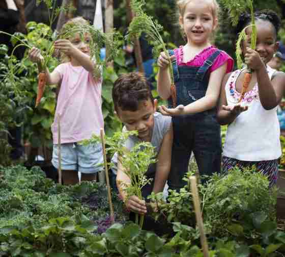 children planting hibachi vegetables