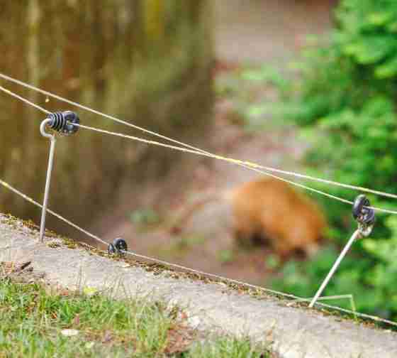 Keeping animals out using an electric garden fence.