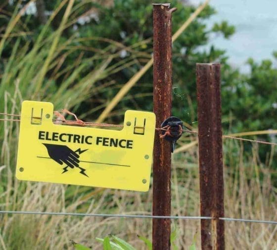 electric garden fence