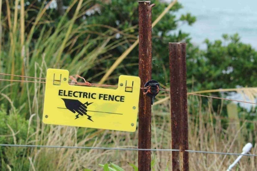electric garden fence