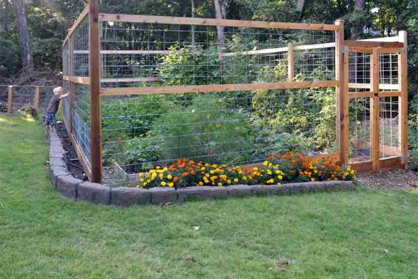 fencing-in-a-vegetable-garden