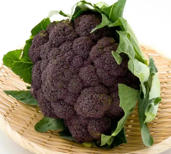 purple (blue) cauliflower