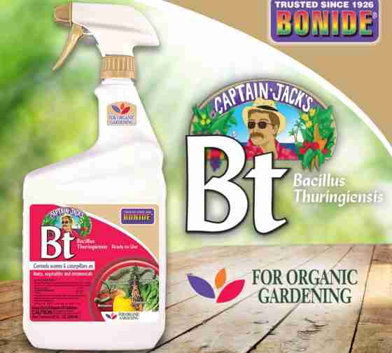 nsatural garden pest control with Bt pesticide