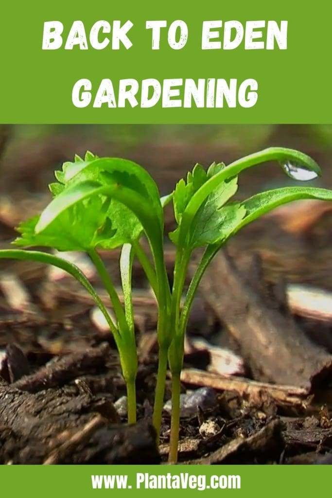back to eden gardening