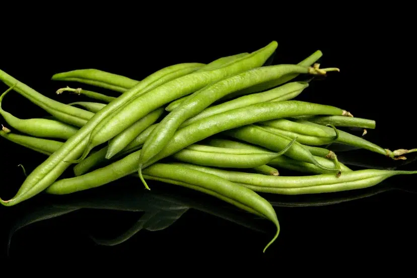 bean companion plants