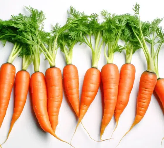 carrots are another good bean compan ion plant