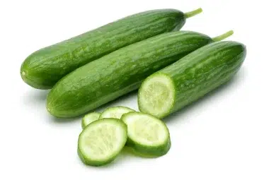 how to grow cucumbers