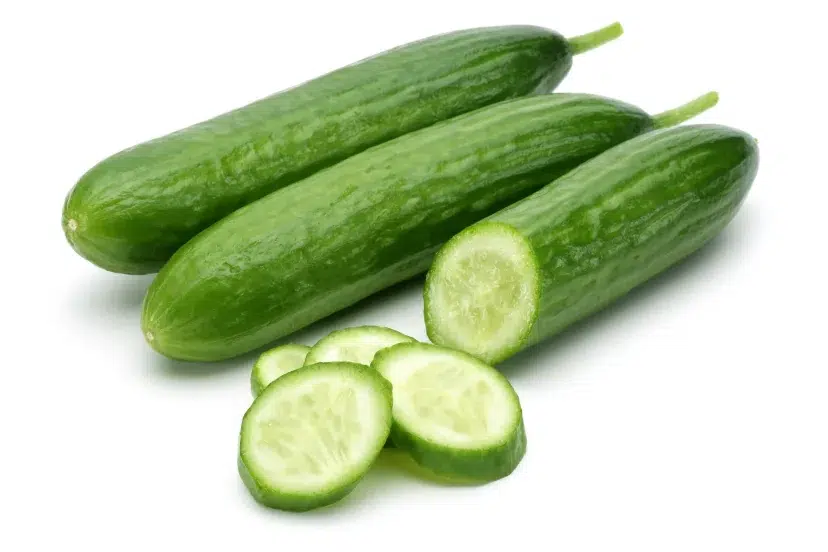 how to grow cucumbers