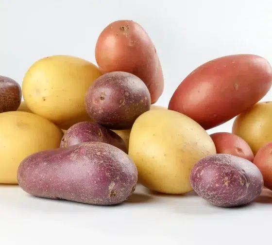 colors of potatoes