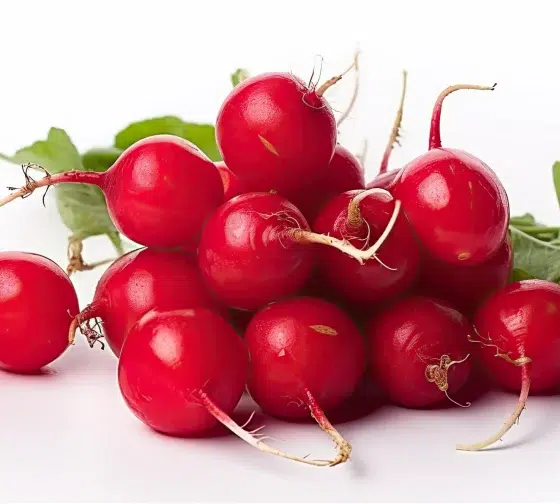 radish a good bean companion plant