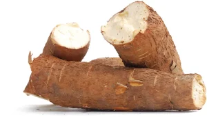Cassava Root