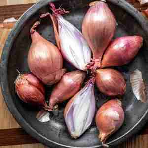 shallots