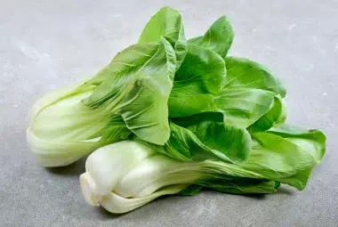 can dogs eat bok choy?