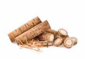burdock root