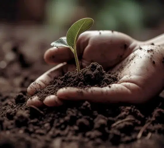 soil preparation