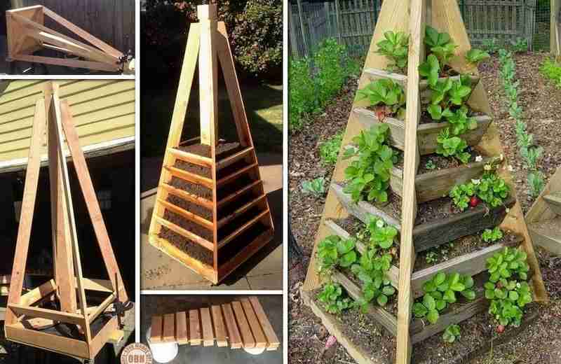 herb tower gardening