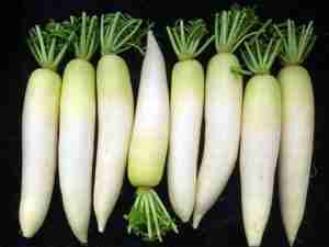 daikon radish