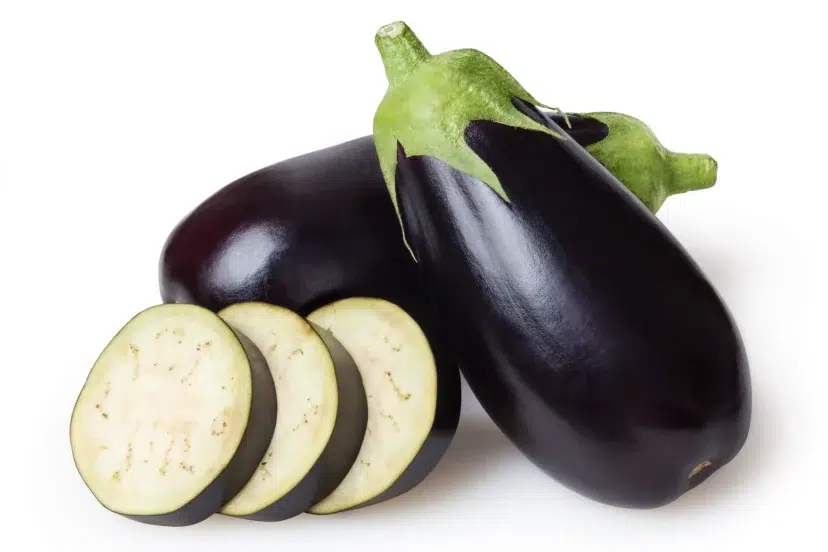 how to grow eggplant