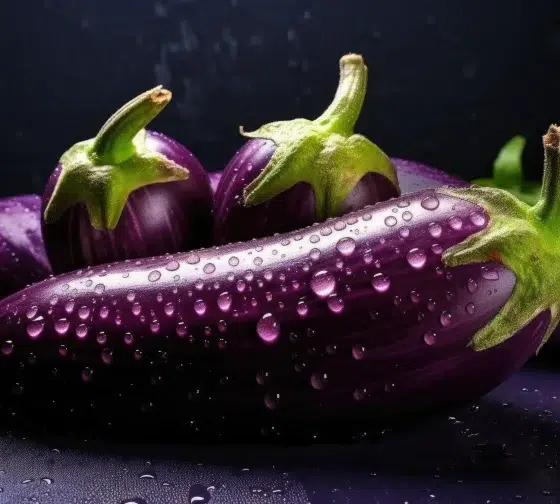 how to gorw eggplant