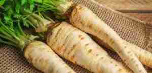 one of the 15 best root vegetables - parsnip