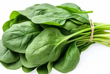 how to grow spinach