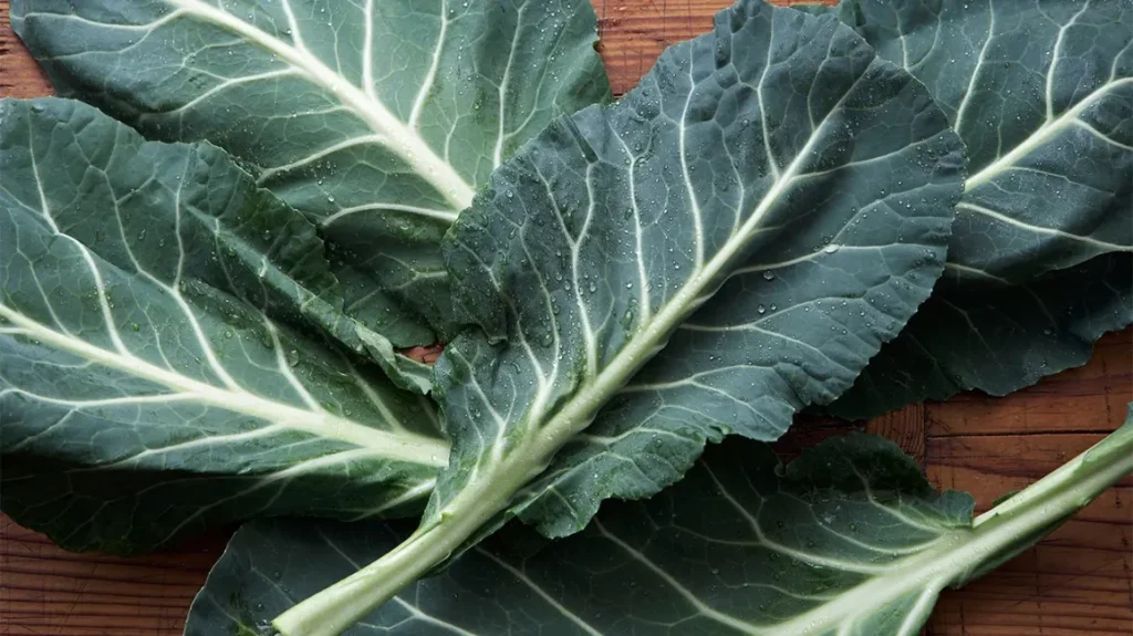 how to grow collard greens