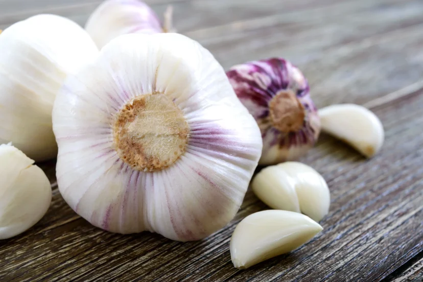 how to grow garlic