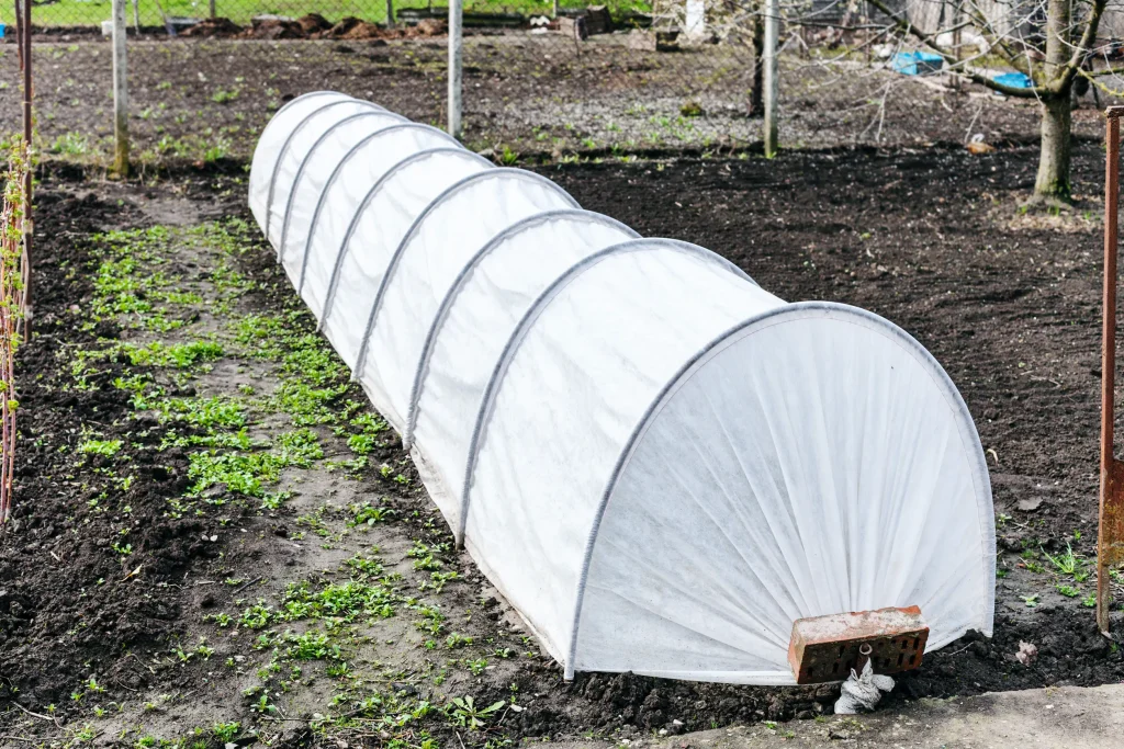 how to grow collard greens using row covers