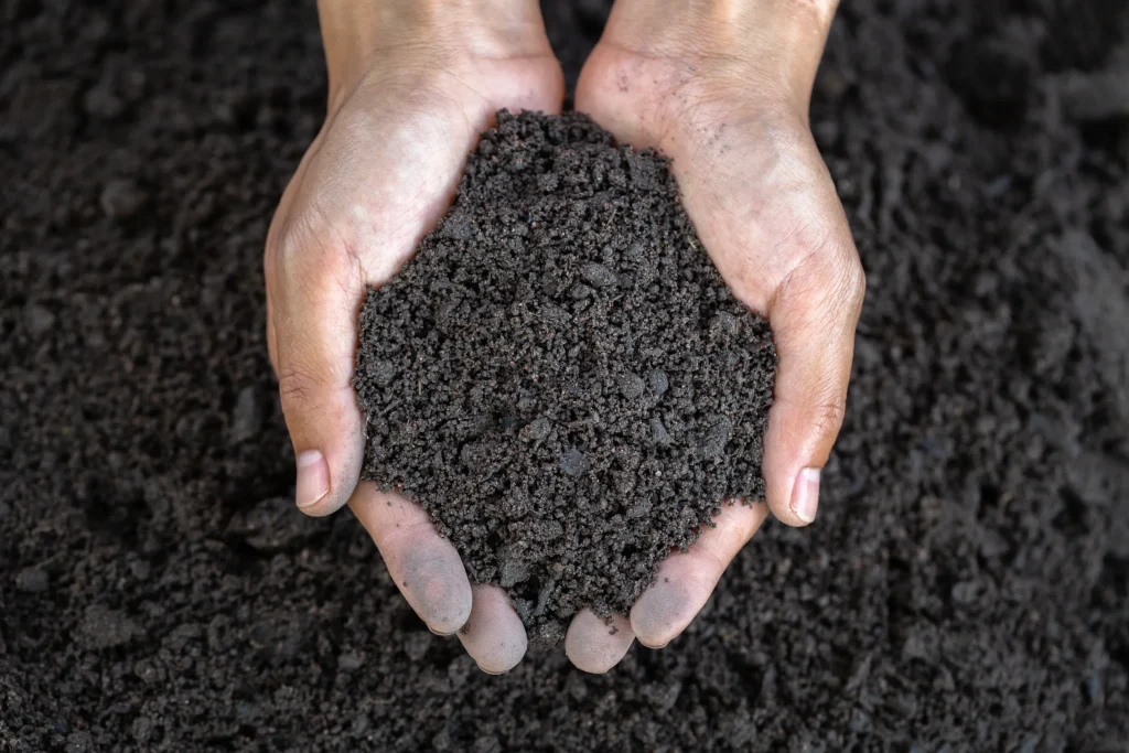 soil testing